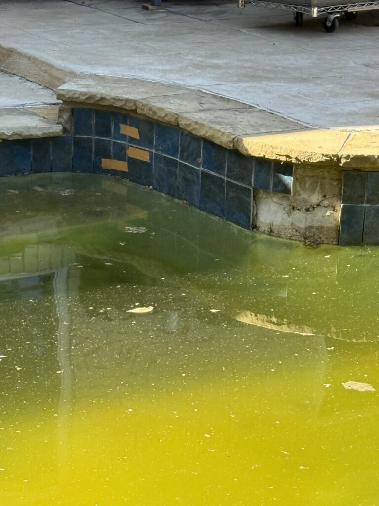 Pool Coping & Stonework Repairs